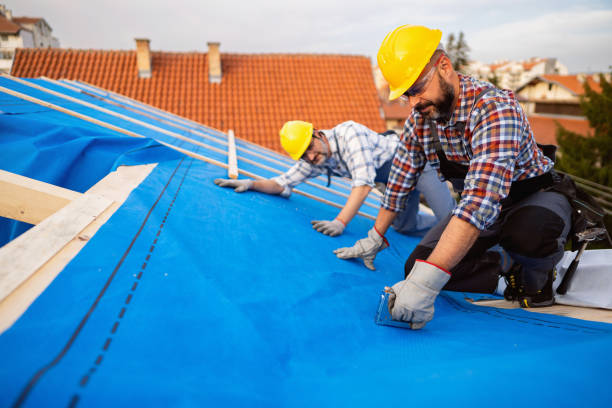 Roof Waterproofing Services in Bromley, KY