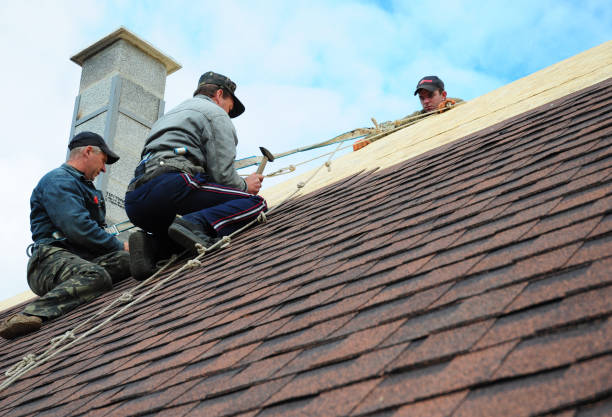 Best Roof Maintenance Services  in Bromley, KY
